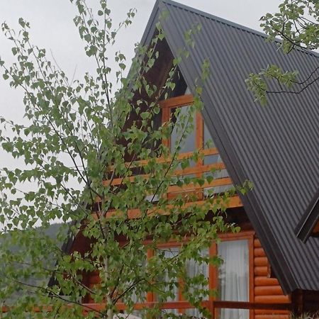 Villa Wood Borje Zabljak  Bagian luar foto