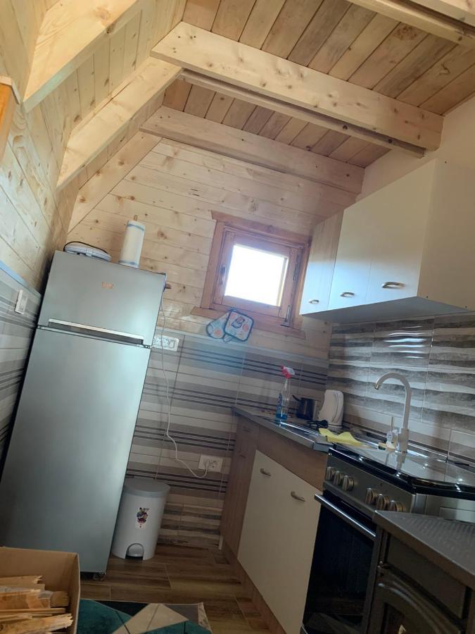 Villa Wood Borje Zabljak  Bagian luar foto